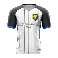 Hamburger SV jersey